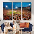 Clemson University Tigers Football Team Print - Clemson