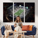Michigan State Spartans Football Team Print - East Lansing
