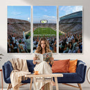 Michigan State Spartans Football Team Art Print - East