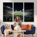 Framed Michigan State Spartans Football Team Print - East