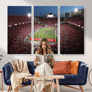 Ohio State University Buckeyes Football Team Print -