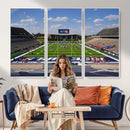 Rice University Owls Football Team Print - Houston Rice