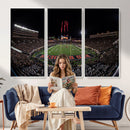 Framed Texas Tech Red Raiders Stadium Canvas, Texas Tech Red