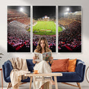 University of Maryland Terrapins Football Team Print -