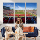 Ball State Cardinals Football Team Print - Muncie Scheumann
