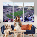 The Texas Christian University TCU Horned Frogs Football