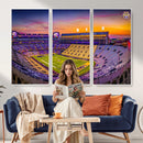 The Louisiana State University Tigers Football Team Print -