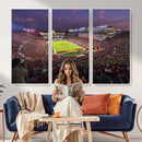 The University of Southern California USC Trojans Football