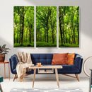 Lush Green Forest Canvas Print | 3-Panel Forest Wall Art |