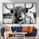 Black and White Scottish Cow Canvas Wall Art Highland Cattle