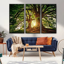 Majestic Ancient Tree Wall Art, NatureCanvas Print, Woodland by MyGreatCanvas | Canvas Wall Art Prints | Photo Prints & Wall Decor