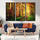 Sunlight Through Trees Wall Art Canvas Print - Autumn Forest