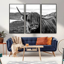 Longhorn Steer Canvas Print Wall Art, Highland Cow Canvas by MyGreatCanvas | Canvas Wall Art Prints | Photo Prints & Wall Decor
