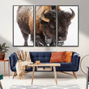 Bison Wall Art Canvas Print For Farmhouse, Wild Animal Wall by MyGreatCanvas | Canvas Wall Art Prints | Photo Prints & Wall Decor