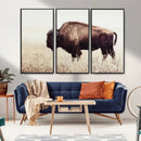 Bison in Field Wall Art Canvas Print For Farmhouse Barn