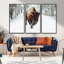 Bison Wall Art Canvas Print For Farmhouse, Animal Canvas by MyGreatCanvas | Canvas Wall Art Prints | Photo Prints & Wall Decor