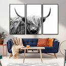 Black White Scottish Highland Cow Cattle Art Print Farmhouse