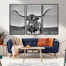 Texas Longhorn Cow Wall Art, Texas Longhorn Canvas, Cattle