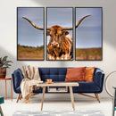 Texas Longhorn Wall Art Print, Framed Longhorn Cow Wall Art