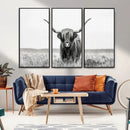 Highland Cow Canvas Wall Art – Majestic Beauty in Black and