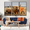 Highland Cow Canvas Wall Art Animal Print for Farm House