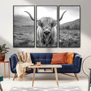 Black White Scottish Highland Cow Canvas Farm Wall Art