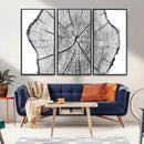 Rustic Tree Ring Wall Art Canvas Print – Framed and Ready to