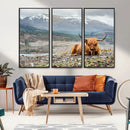 Highland Cow Horn Farm Wall Art Canvas Print