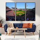 Cincinnati Reds Baseball Canvas Print - American Ball