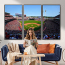 Cincinnati Reds Baseball Canvas Print - American Ball