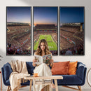 Kyle Field Wall Art Print | Large Texas A&M Aggies Football