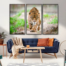 Leopard on the Prowl - Stunning Large Framed Leopard Wall