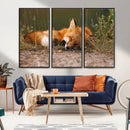 Sleeping Fox Wall Art Canvas Print, Farmhouse Wall Decor and