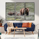 Wildlife Photography of 399 Grizzly Bear Cubs | Queen of the