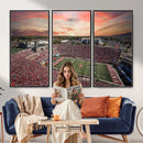 Indiana Memorial Stadium Wall Art Canvas Print, Framed