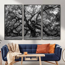 Black and White Old Angel Oak Tree Wall Art Canvas Print by MyGreatCanvas | Canvas Wall Art Prints | Photo Prints & Wall Decor