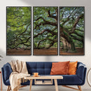 Historic Tree Wall Art – Framed Mossy Branch Canvas Artwork, by MyGreatCanvas | Canvas Wall Art Prints | Photo Prints & Wall Decor