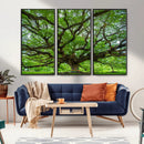 Oak Tree Wall Art Print, Forest Canvas Wall Art for Home and by MyGreatCanvas | Canvas Wall Art Prints | Photo Prints & Wall Decor