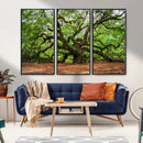 Majestic Oak Tree Wall Art Canvas Print – Ancient Branches by MyGreatCanvas | Canvas Wall Art Prints | Photo Prints & Wall Decor