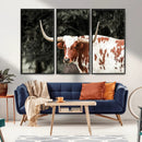 Texas Longhorn Wall Art Canvas Print – Framed Spotted Bull