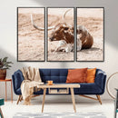 Texas Longhorn Wall Art – Framed Resting Bull Canvas by MyGreatCanvas | Canvas Wall Art Prints | Photo Prints & Wall Decor