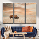 MyCanvas -