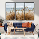 Beach Grass Wall Art – Framed Coastal Dunes Canvas Artwork, by MyGreatCanvas | Canvas Wall Art Prints | Photo Prints & Wall Decor