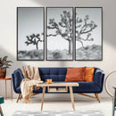 Joshua Tree Wall Art Canvas Print – Framed Black White