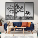 Joshua Tree Wall Art Canvas Print – Framed Monochrome Desert