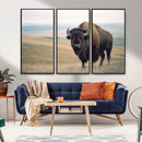 Bison Wall Art Canvas Print – Framed Buffalo American Bison