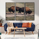 Bison Wall Art Canvas Print – Framed Western Wildlife Modern by MyGreatCanvas | Canvas Wall Art Prints | Photo Prints & Wall Decor