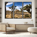 Joshua Tree Desert Wall Art Canvas Print – Framed