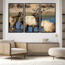 Wild Elk Wall Art Canvas Print – Framed Neutral Wildlife