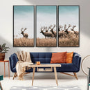 Elk Herd Wall Art Canvas Print – Framed Wildlife Photography